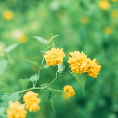 醉剑江湖官方版下载